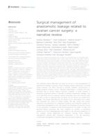 Surgical management of anastomotic leakage related to ovarian cancer surgery: a narrative review