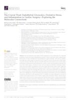 The Crucial Triad: Endothelial Glycocalyx, Oxidative Stress, and Inflammation in Cardiac Surgery—Exploring the Molecular Connections