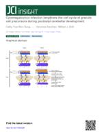 Cytomegalovirus infection lengthens the cell cycle of granule cell precursors during postnatal cerebellar development