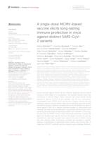 A single-dose MCMV-based vaccine elicits long-lasting immune protection in mice against distinct SARS-CoV-2 variants