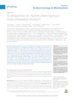 A perspective on muscle phenotyping in musculoskeletal research