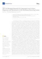 The Cell Biologist Potential of Cytomegalovirus to Solve Biogenesis and Maintenance of the Membrane Recycling System