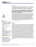 prikaz prve stranice dokumenta Varicella zoster virus glycoprotein C increases chemokine-mediated leukocyte migration.