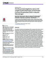 prikaz prve stranice dokumenta The Mouse Cytomegalovirus Gene m42 Targets Surface Expression of the Protein Tyrosine Phosphatase CD45 in Infected Macrophages