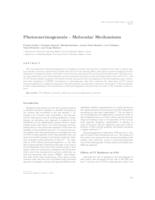 prikaz prve stranice dokumenta Photocarcinogenesis – Molecular Mechanisms