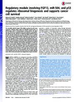 prikaz prve stranice dokumenta Regulatory module involving FGF13, miR-504, and p53 regulates ribosomal biogenesis and supports cancer cell survival
