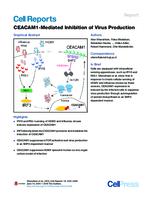 prikaz prve stranice dokumenta CEACAM1-Mediated Inhibition of Virus Production