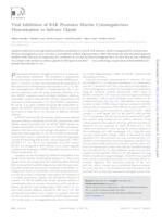 prikaz prve stranice dokumenta Viral Inhibition of BAK Promotes Murine Cytomegalovirus Dissemination to Salivary Glands