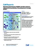 prikaz prve stranice dokumenta Myeloid Cells Restrict MCMV and Drive Stress-Induced Extramedullary Hematopoiesis through STAT1