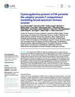 prikaz prve stranice dokumenta Cytomegalovirus protein m154 perturbs the adaptor protein-1 compartment mediating broad-spectrum immune evasion