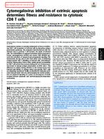 prikaz prve stranice dokumenta Cytomegalovirus inhibition of extrinsic apoptosis determines fitness and resistance to cytotoxic CD8 T cells