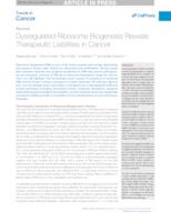 prikaz prve stranice dokumenta Dysregulated Ribosome Biogenesis Reveals Therapeutic Liabilities in Cancer