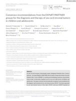 prikaz prve stranice dokumenta Consensus recommendations from the EXPeRT/PARTNER groups for the diagnosis and therapy of sex cord stromal tumors in children and adolescents