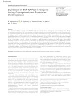 prikaz prve stranice dokumenta Expression of BSP-GFPtpz Transgene during Osteogenesis and Reparative Dentinogenesis