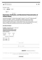 prikaz prve stranice dokumenta Expression, Purification, and Biochemical Characterization of Human Afamin