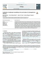 prikaz prve stranice dokumenta Landmarks of endosomal remodeling in early phase of cytomegalovirus infection