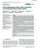 prikaz prve stranice dokumenta "Matrix metalloproteinases MMP-1, MMP-2, and MMP-13 are overexpressed in primary nodular melanoma"