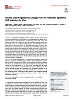 prikaz prve stranice dokumenta Murine cytomegalovirus glycoprotein O promotes epithelial cell infection in vivo