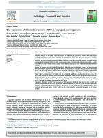 prikaz prve stranice dokumenta The expression of ribonuclear protein IMP3 in  laryngeal carcinogenesis