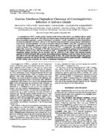 prikaz prve stranice dokumenta Gamma interferon-dependent clearance of cytomegalovirus infection in salivary glands