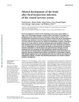 prikaz prve stranice dokumenta Altered development of the brain after focal herpesvirus infection of the central nervous system