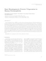 prikaz prve stranice dokumenta Bone Morphogenetic Protein-7 Expression in Human Pyelonephritis