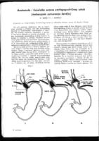 prikaz prve stranice dokumenta Anatomske i fiziološke osnove ezofagogastričnog spoja (mehanizam zatvaranja kardije)