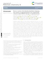 prikaz prve stranice dokumenta Boron clusters (ferrabisdicarbollides) shaping the future as radiosensitizers for multimodal (chemo/radio/PBFR) therapy of glioblastoma