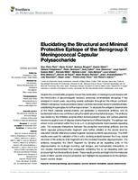 prikaz prve stranice dokumenta Elucidating the Structural and Minimal Protective Epitope of the Serogroup X Meningococcal Capsular Polysaccharide