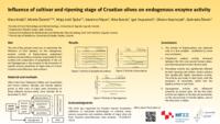 prikaz prve stranice dokumenta Influence of cultivar and ripening stage of Croatian olives on endogenous enzyme activity