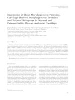 prikaz prve stranice dokumenta Expression of Bone Morphogenetic Proteins, Cartilage-Derived Morphogenetic Proteins and Related Receptors in Normal and Osteoarthritic Human Articular Cartilage