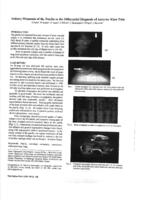 prikaz prve stranice dokumenta Solitary Metastasis of the Patella in the Differential Diagnosis of Anterior Knee Pain