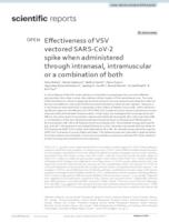 prikaz prve stranice dokumenta Effectiveness of VSV vectored SARS-CoV-2 spike when administered through intranasal, intramuscular or a combination of both