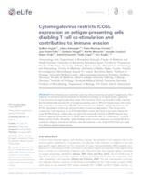 prikaz prve stranice dokumenta Cytomegalovirus restricts ICOSL expression on antigen-presenting cells disabling T cell co-stimulation and contributing to immune evasion