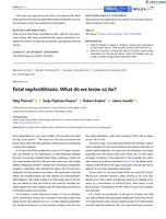 prikaz prve stranice dokumenta Fetal nephrolithiasis: What do we know so far?