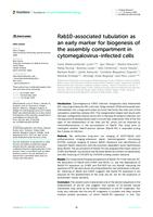 prikaz prve stranice dokumenta Rab10-associated tubulation as an early marker for biogenesis of the assembly compartment in cytomegalovirus-infected cells