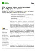 prikaz prve stranice dokumenta Glial Cells in Spinal Muscular Atrophy: Speculations on Non-Cell-Autonomous Mechanisms and Therapeutic Implications